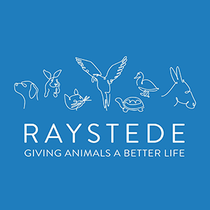 Raystede